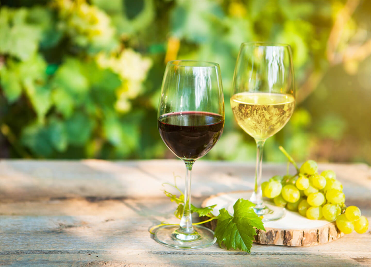 Winery image